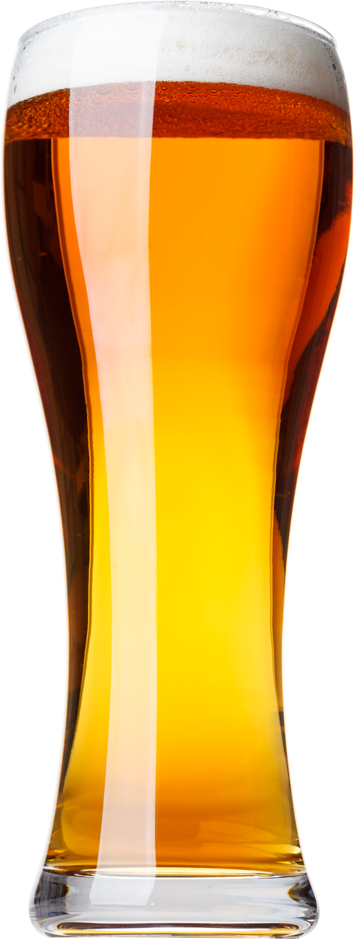 Tall Glass of Pilsner Beer with Head Isolated